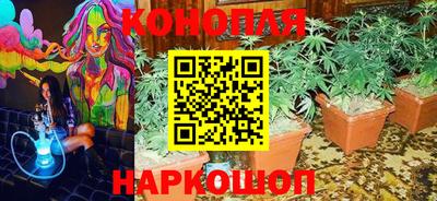 мяу мяу мука Будённовск