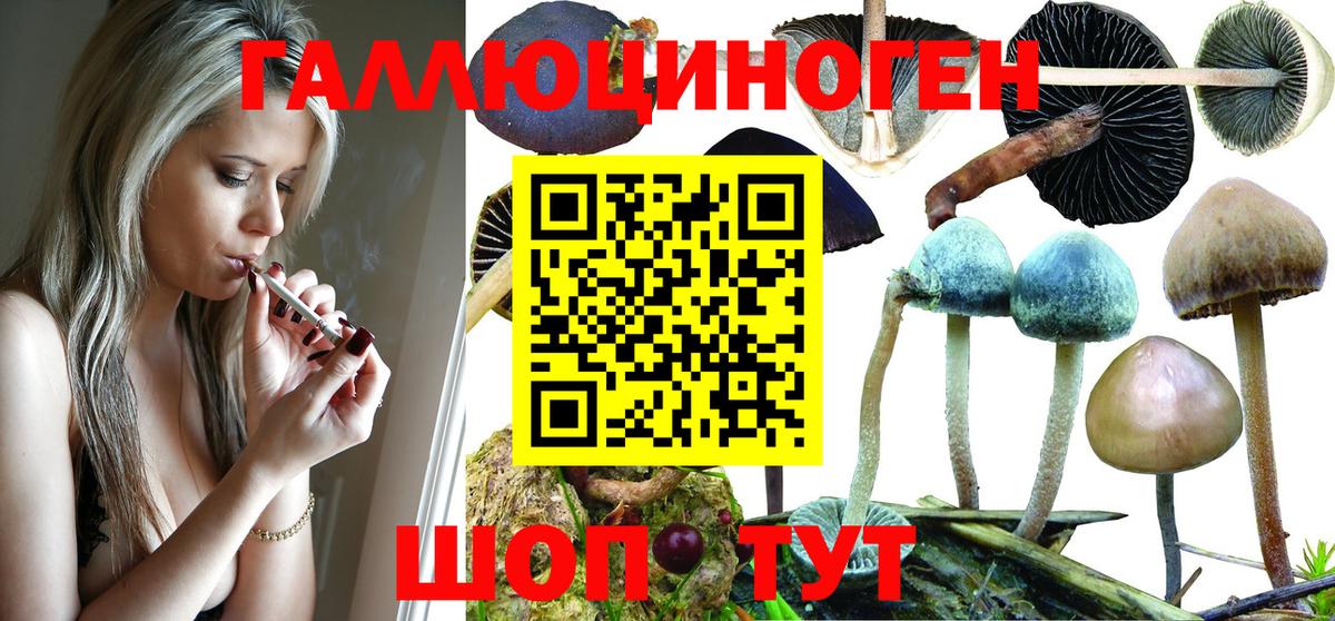 Заинск  купить  сайты  Вход с VPN  Псилоцибиновые грибы Magic Shrooms 